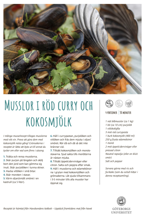 Musslor i röd curry
