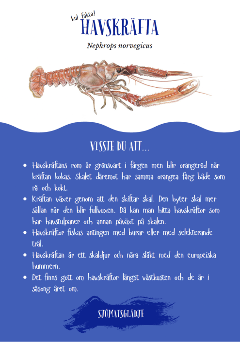 Havskräfta